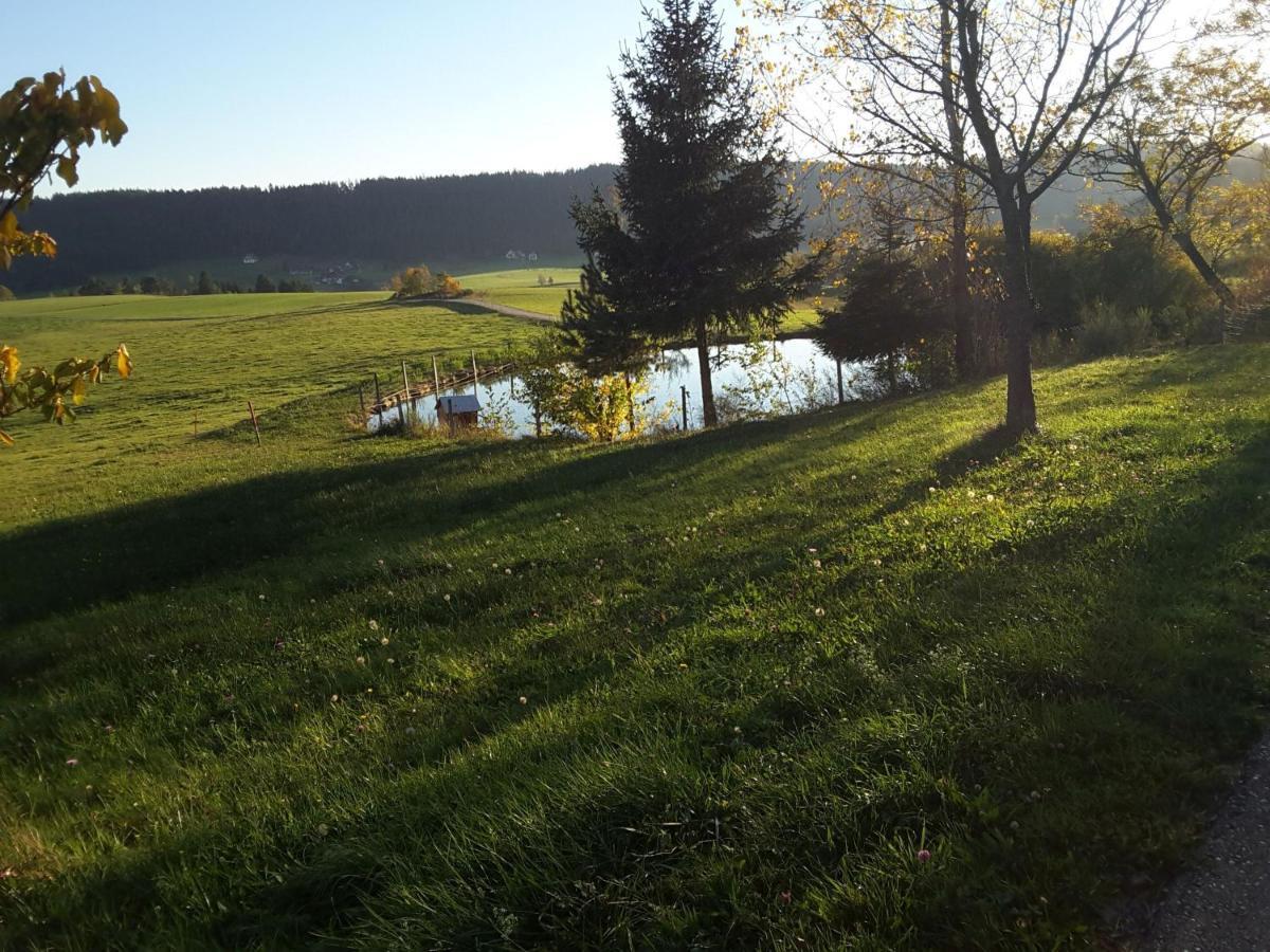 Ferienhof Kienbronnerhof Шильтах Екстер'єр фото